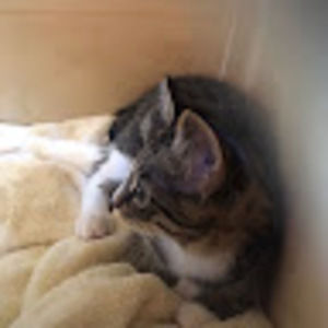 Meet your Posher, Christine